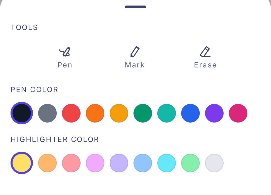 The Draw panel in the FocusPace notebook editor showing Pen, Mark, Erase, and annotation color options.